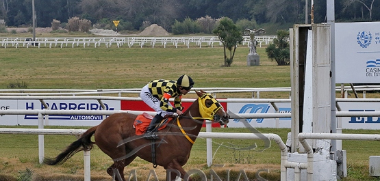 Domingo 21 de julio de 2024 - Hipódromo Nacional de Maroñas