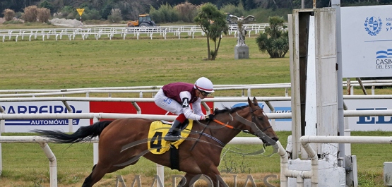 Domingo 28 de julio de 2024 - Hipódromo Nacional de Maroñas