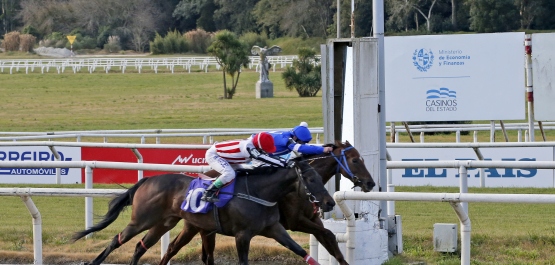 HANDICAP ESPECIAL STUD PROGRESO