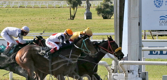 Sábado 3 de agosto de 2024 - Hipódromo Nacional de Maroñas