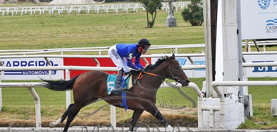 Domingo 4 de agosto de 2024 - Hipódromo Nacional de Maroñas