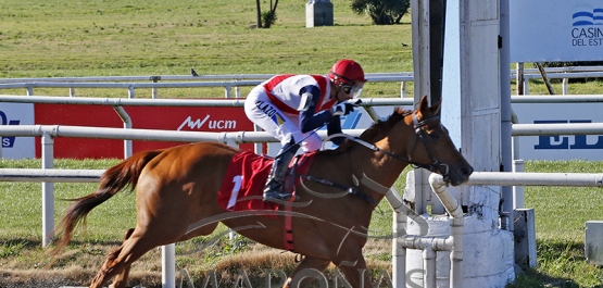 Sábado 10 de agosto de 2024 - Hipódromo Nacional de Maroñas