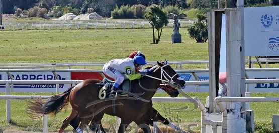 Domingo 11 de agosto de 2024 - Hipódromo Nacional de Maroñas