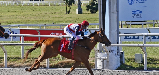 HANDICAP ESPECIAL BOINA ROJA