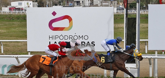 Viernes 16 de agosto de 2024 - Hipódromo Las Piedras