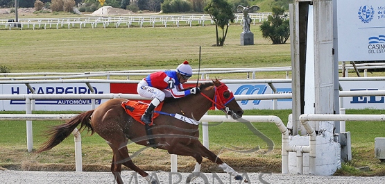 Sábado 17 de agosto de 2024 - Hipódromo Nacional de Maroñas