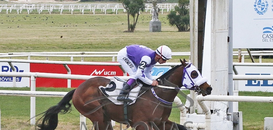 Domingo 18 de agosto de 2024 - Hipódromo Nacional de Maroñas