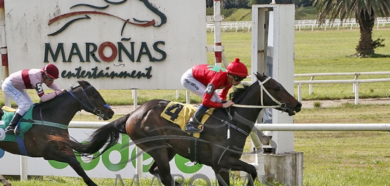 Sábado 24 de agosto de 2024 - Hipódromo Nacional de Maroñas