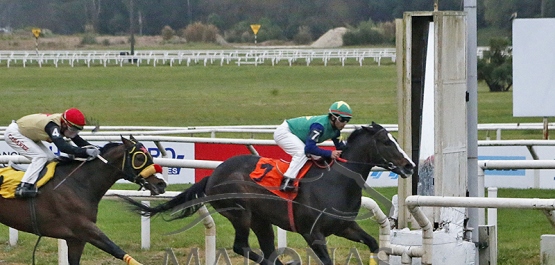 Viernes 30 de agosto de 2024 - Hipódromo Nacional de Maroñas