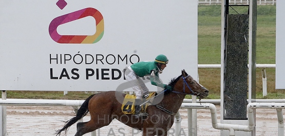 Sábado 31 de agosto de 2024 - Hipódromo Las Piedras