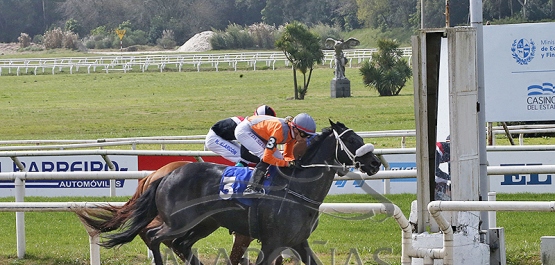 Domingo 1° de septiembre de 2024 - Hipódromo Nacional de Maroñas