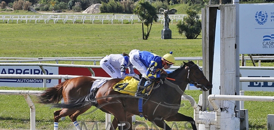 Sábado 7 de setiembre de 2024 - Hipódromo Nacional de Maroñas