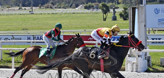 Domingo 8 de setiembre de 2024 - Hipódromo Nacional de Maroñas