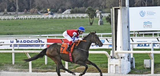 GRAN PREMIO POLLA DE POTRANCAS