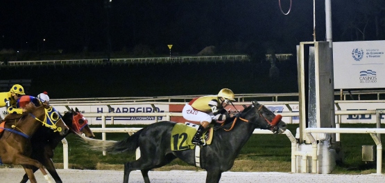 GRAN PREMIO POLLA DE POTRILLOS