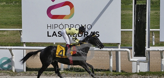 Viernes 13 de setiembre de 2024 - Hipódromo Las Piedras