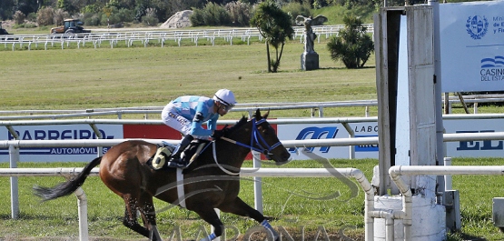 Sábado 14 de setiembre de 2024 - Hipódromo Nacional de Maroñas