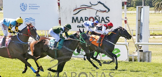 Domingo 15 de setiembre de 2024 - Hipódromo Nacional de Maroñas