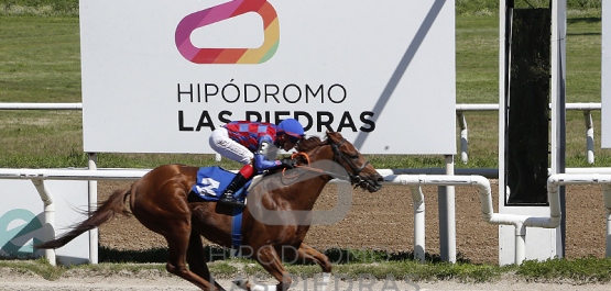 Viernes 20 de setiembre de 2024 - Hipódromo Las Piedras