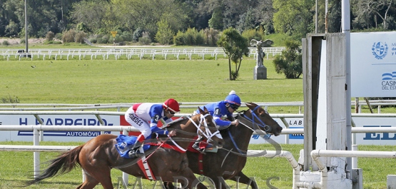 Sábado 21 de setiembre de 2024 - Hipódromo Nacional de Maroñas