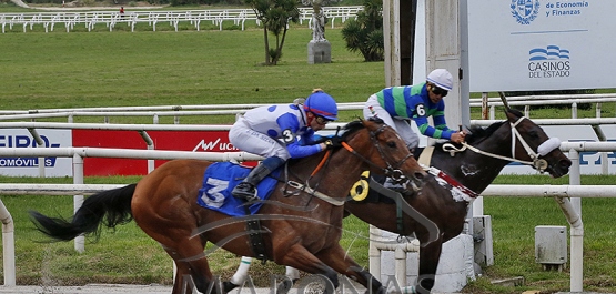 Domingo 22 de setiembre de 2024 - Hipódromo Nacional de Maroñas