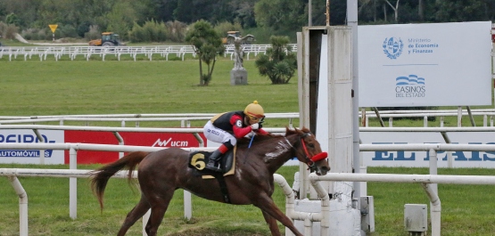 CLÁSICO STUD BOOK URUGUAYO