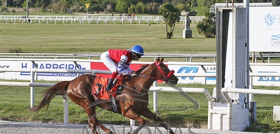 Sábado 28 de setiembre de 2024 - Hipódromo Nacional de Maroñas