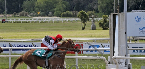 Domingo 29 de setiembre de 2024 - Hipódromo Nacional de Maroñas