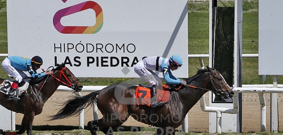 Viernes 4 de octubre de 2024 - Hipódromo Las Piedras