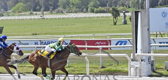 Domingo 6 de octubre de 2024 - Hipódromo Nacional de Maroñas