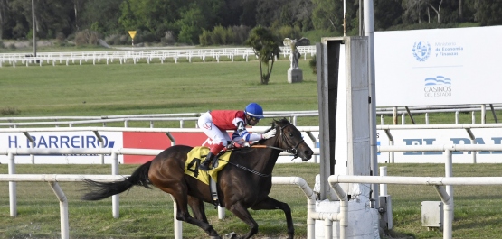 GRAN PREMIO SELECCIÓN