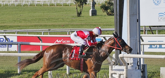 Viernes 11 de octubre de 2024 - Hipódromo Nacional de Maroñas