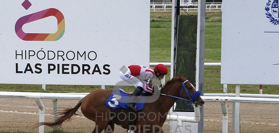 Sábado 12 de octubre de 2024 - Hipódromo Las Piedras