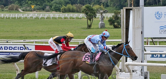 Domingo 13 de octubre de 2024 - Hipódromo Nacional de Maroñas