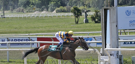 Sábado 19 de octubre de 2024 - Hipódromo Nacional de Maroñas