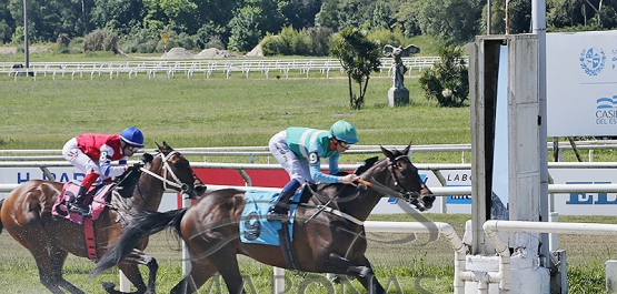 Domingo 20 de octubre de 2024 - Hipódromo Nacional de Maroñas