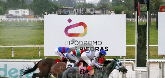 Viernes 25 de octubre de 2024 - Hipódromo Las Piedras