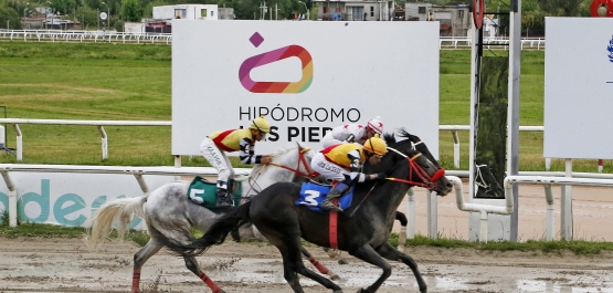 CLÁSICO GRAN PREMIO DE HONOR