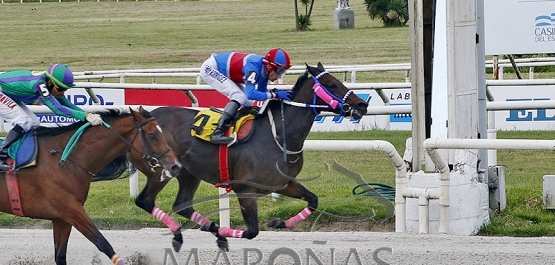 Viernes 1° de noviembre de 2024 - Hipódromo Nacional de Maroñas