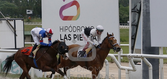 Sábado 2 de noviembre de 2024 - Hipódromo Las Piedras