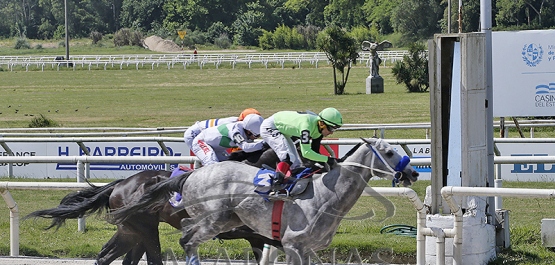 Domingo 3 de noviembre de 2024 - Hipódromo Nacional de Maroñas