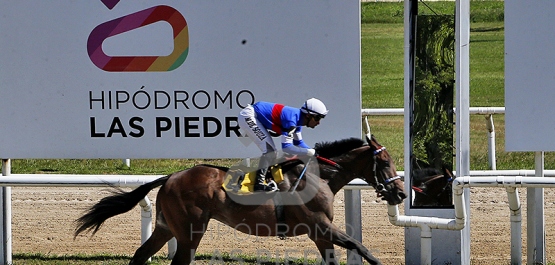 Viernes 8 de noviembre de 2024 - Hipódromo Las Piedras