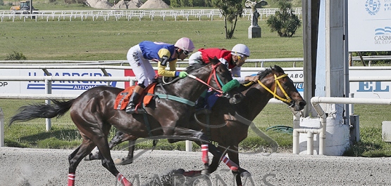 Sábado 9 de noviembre de 2024 - Hipódromo Nacional de Maroñas