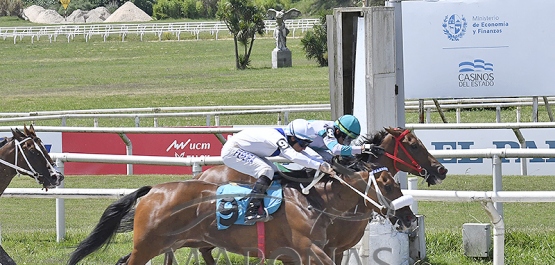 Domingo 10 de noviembre de 2024 - Hipódromo Nacional de Maroñas