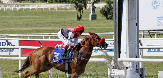 Sábado 16 de noviembre de 2024 - Hipódromo Nacional de Maroñas