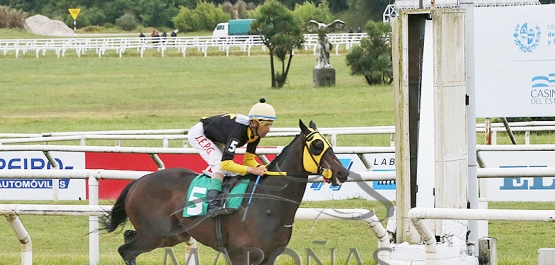 Domingo 17 de noviembre de 2024 - Hipódromo Nacional de Maroñas