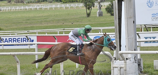 Sábado 14 de diciembre de 2024 - Hipódromo Nacional de Maroñas