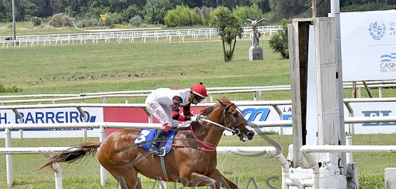 Domingo 15 de diciembre de 2024 - Hipódromo Nacional de Maroñas