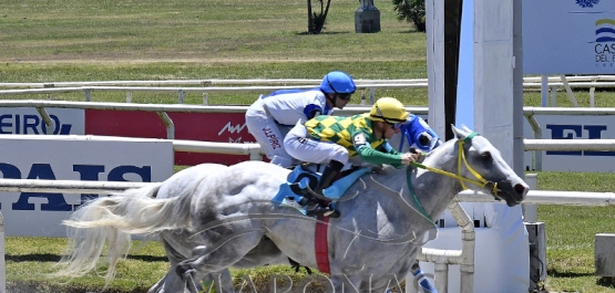 Lunes 6 de enero de 2025 - Hipódromo Nacional de Maroñas