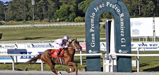 GRAN PREMIO PEDRO PIÑEYRUA